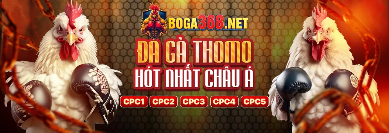 Mẹo và chiến lược Poker ZingPlay cho người mới